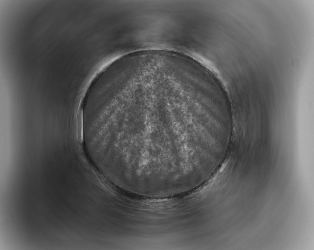 X0000095941223200801251103