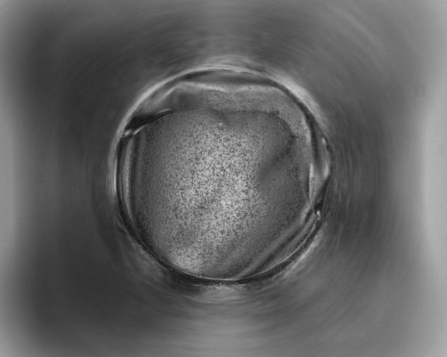 X0000095941224200801251103