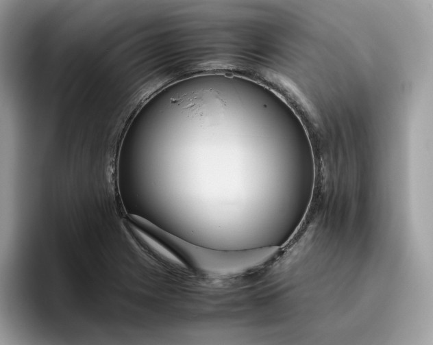 X0000095941225200801251103