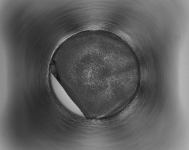 X0000095941226200801251103