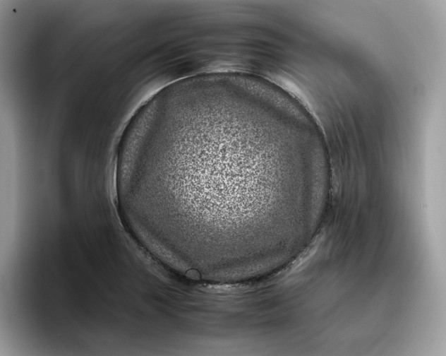 X0000095941227200801251103