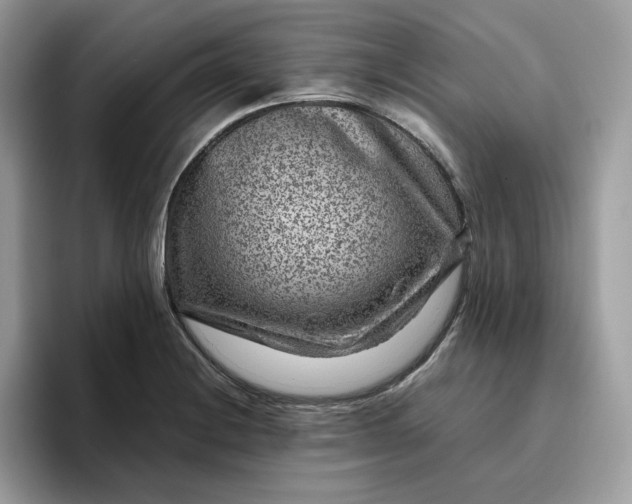 X0000095941228200801251103