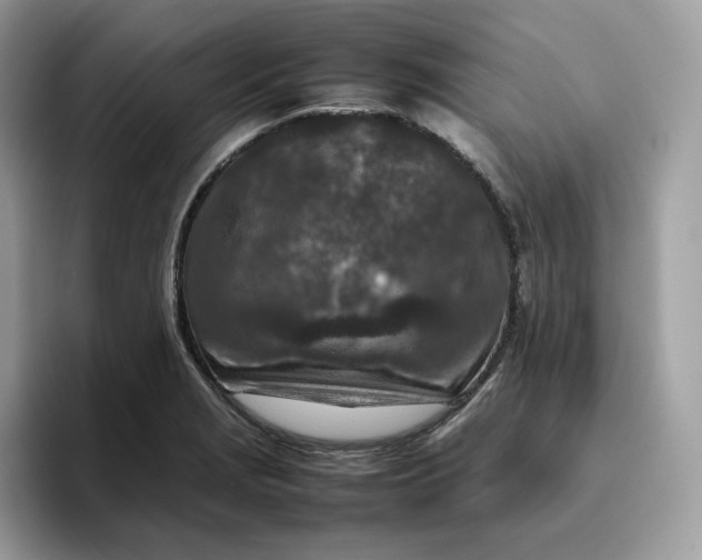X0000095941229200801251103