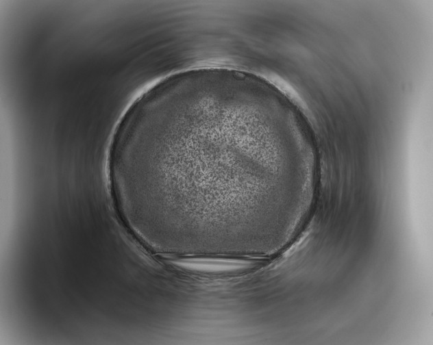 X0000095941230200801251103