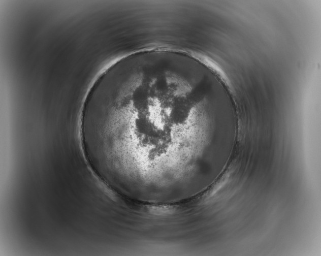 X0000095941231200801251103