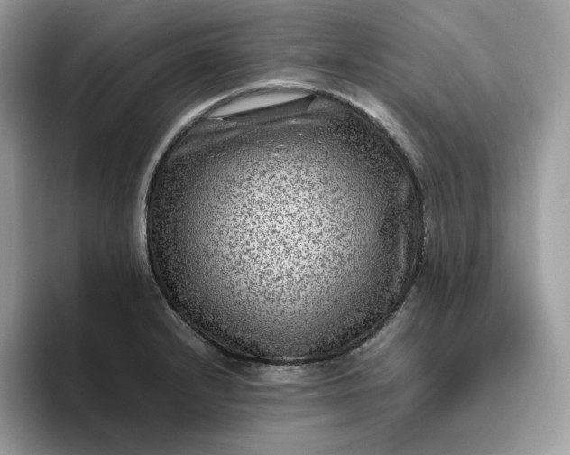 X0000095941232200801251103