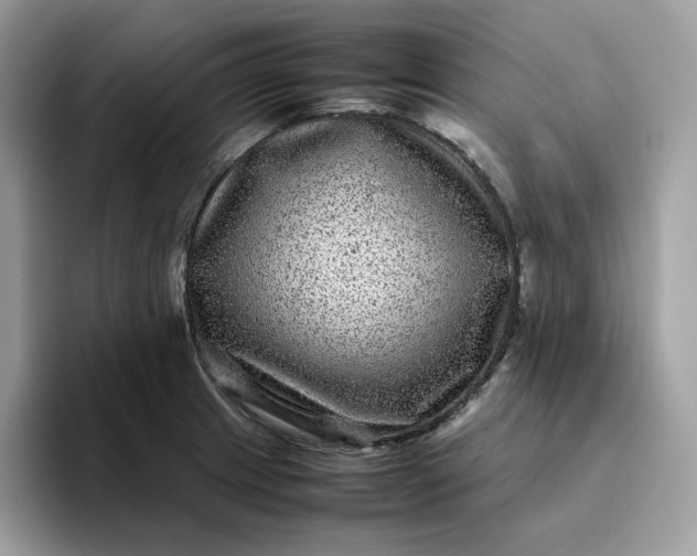 X0000095941233200801251103