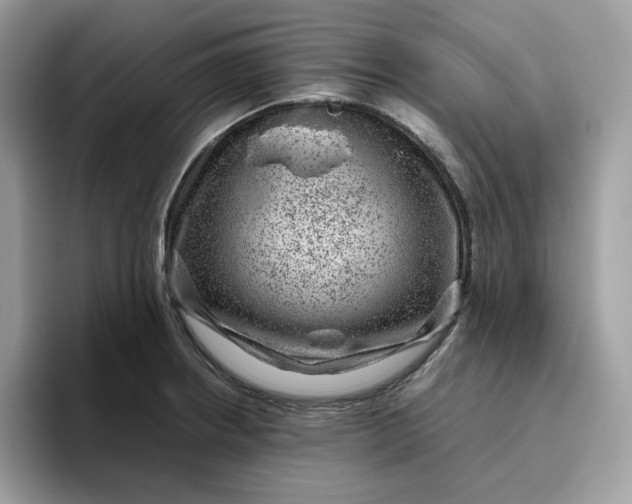 X0000095941234200801251103