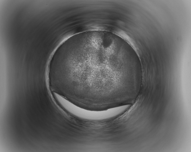 X0000095941235200801251103