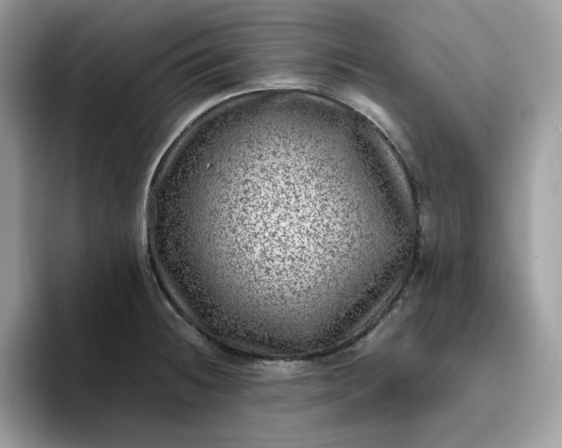 X0000095941236200801251103