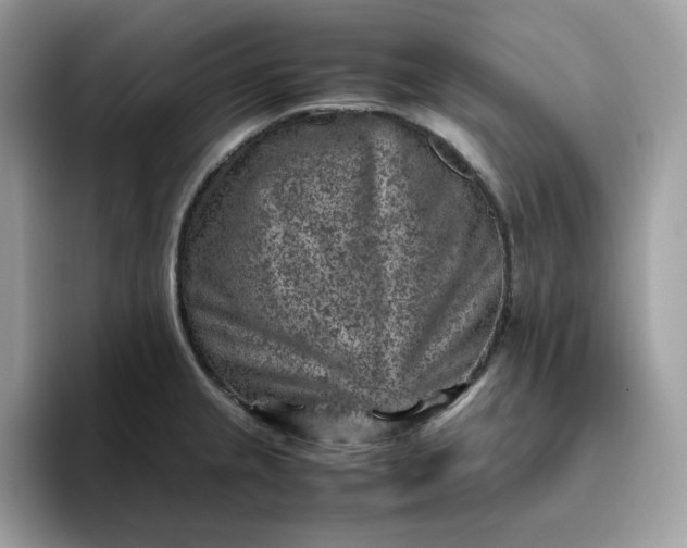 X0000095941237200801251103