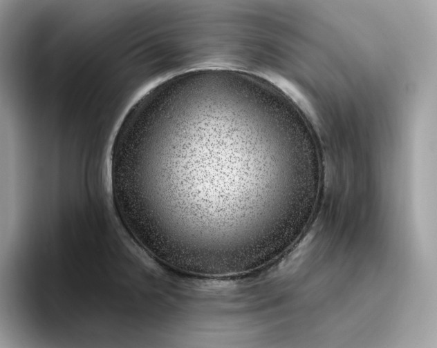 X0000095941238200801251103