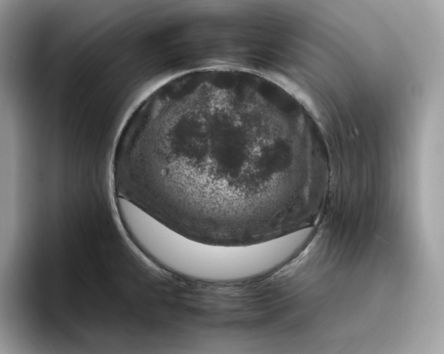 X0000095941239200801251103
