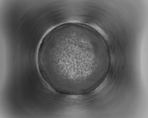 X0000095941240200801251103