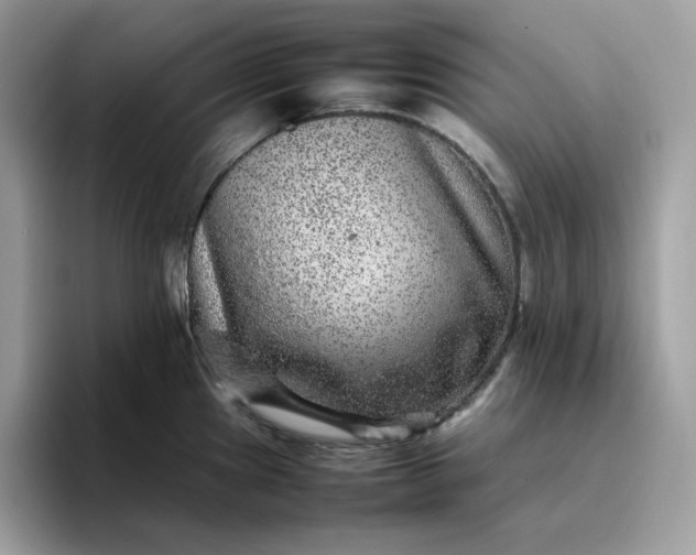 X0000095941241200801251103