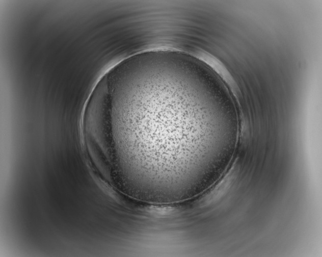 X0000095941242200801251103