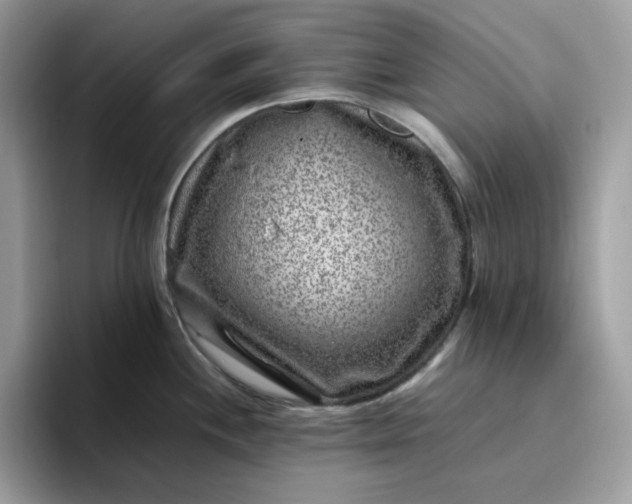 X0000095941244200801251103