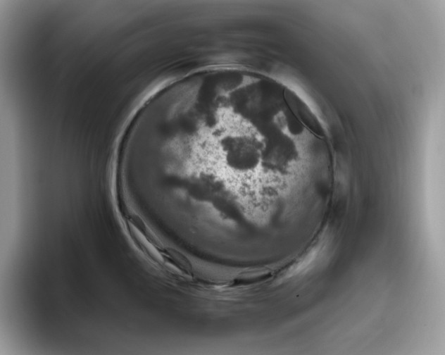 X0000095941245200801251103
