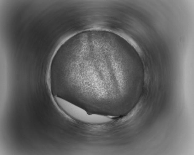X0000095941247200801251103