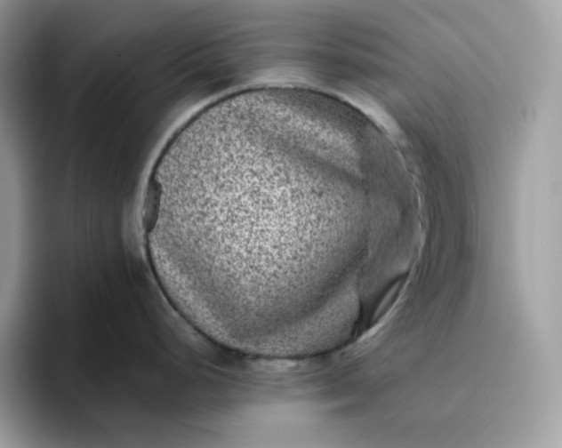 X0000095941248200801251104