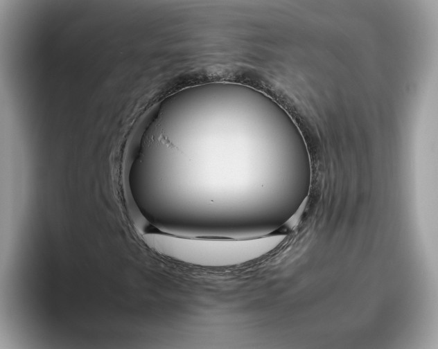 X0000095941249200801251103