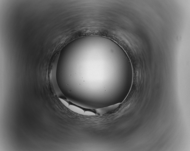 X0000095941250200801251103