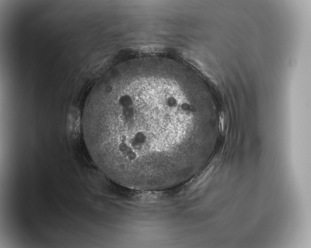 X0000095941251200801251103