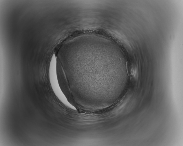 X0000095941252200801251103
