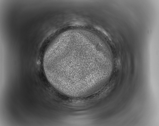 X0000095941254200801251103