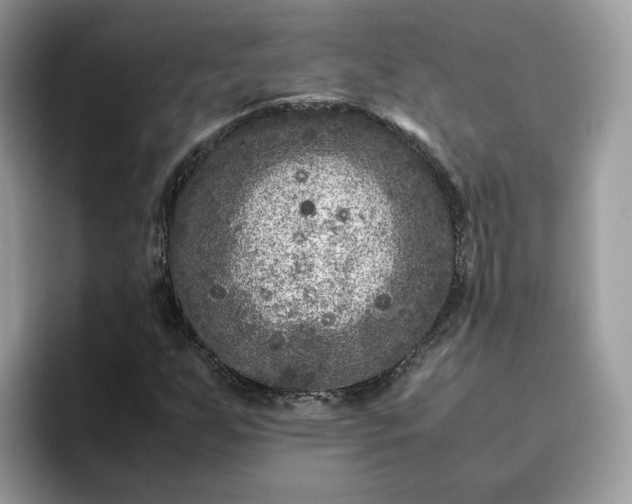 X0000095941255200801251103