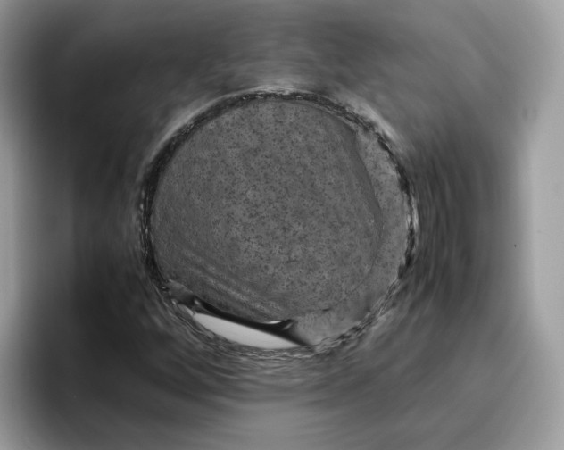 X0000095941256200801251103