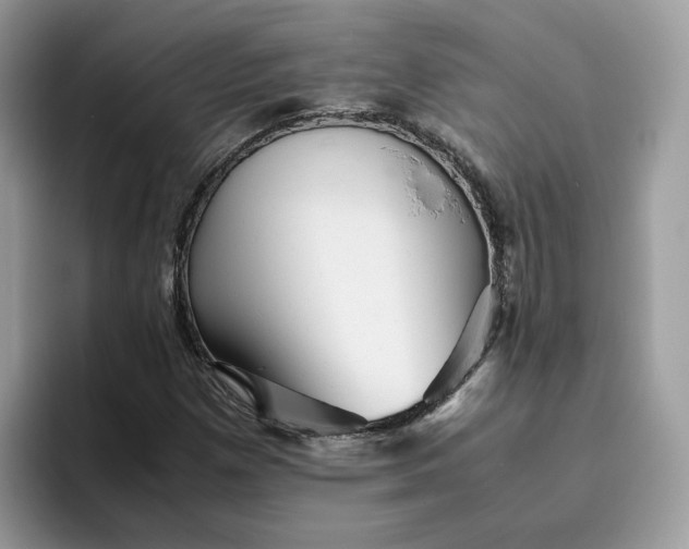 X0000095941257200801251103
