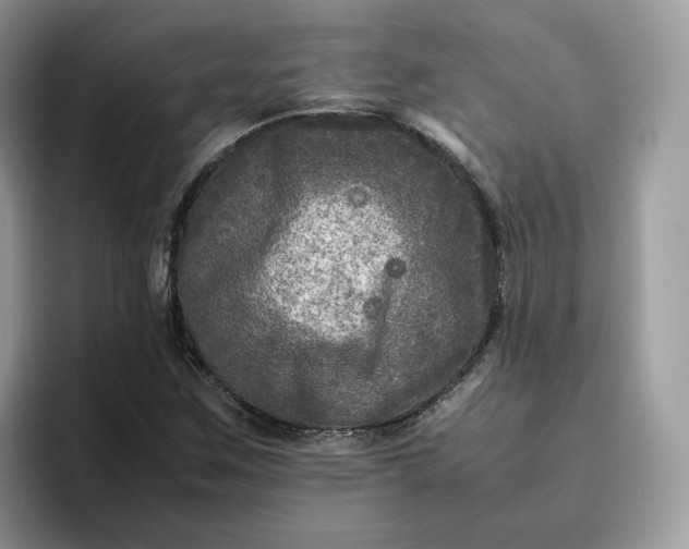X0000095941259200801251103