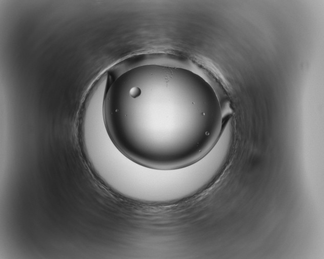 X0000095941260200801251103