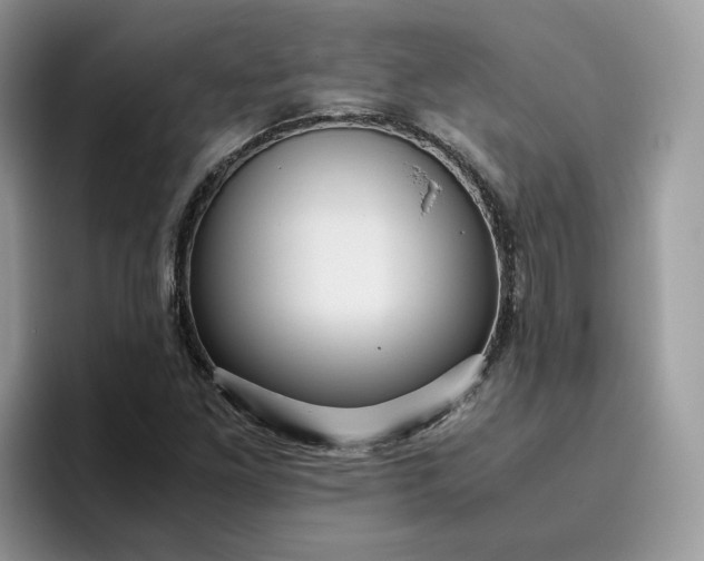 X0000095941261200801251103