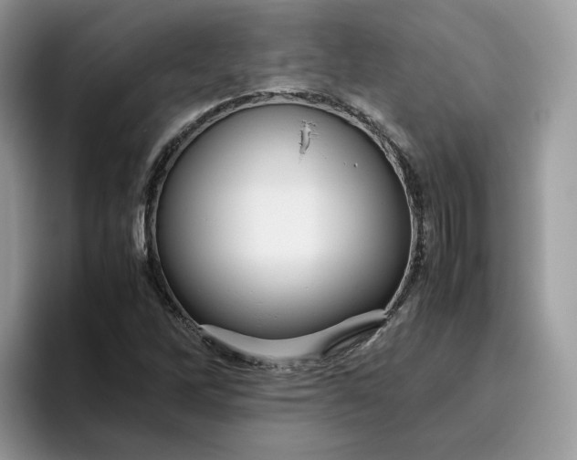 X0000095941262200801251103