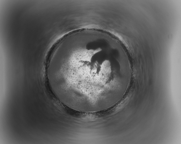 X0000095941263200801251103