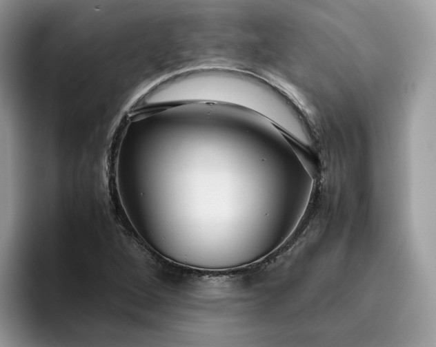 X0000095941264200801251103