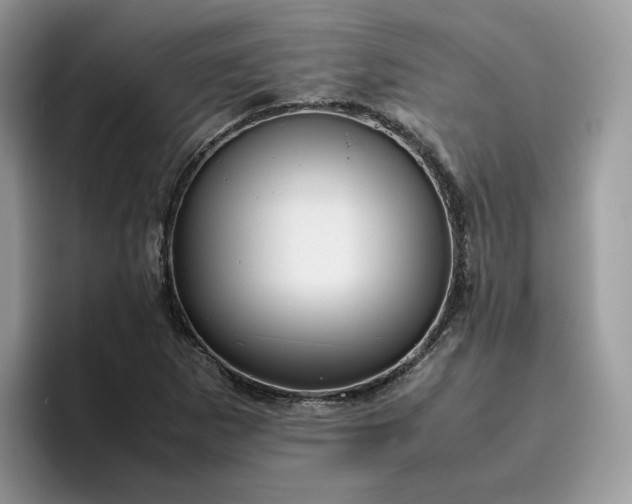 X0000095941265200801251103