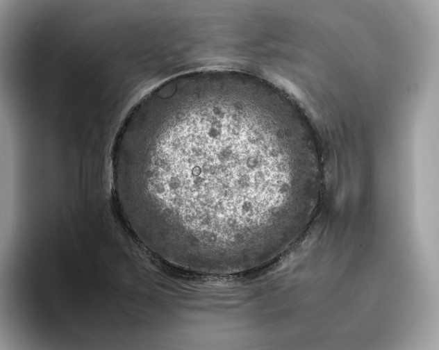 X0000095941267200801251103
