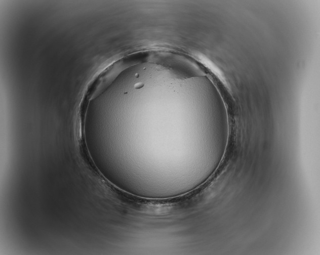 X0000095941269200801251103