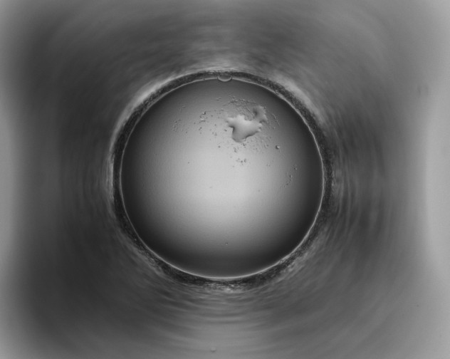 X0000095941270200801251103
