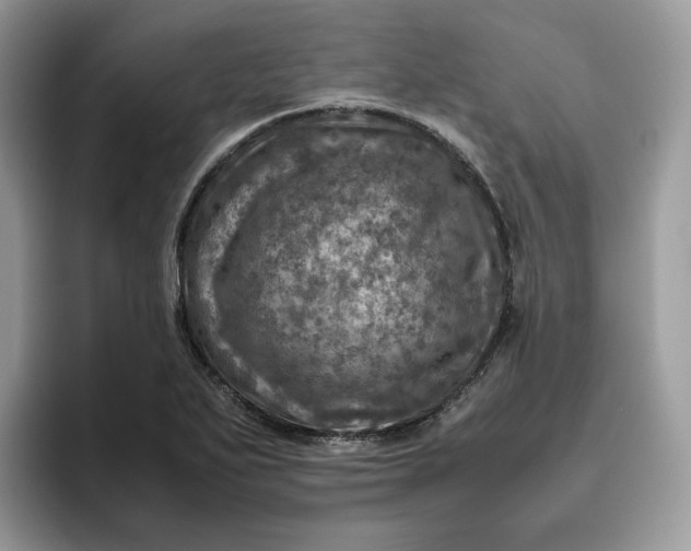X0000095941271200801251103