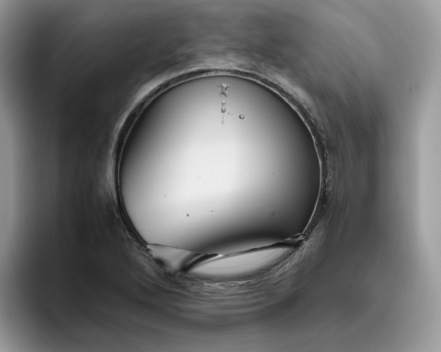 X0000095941272200801251103