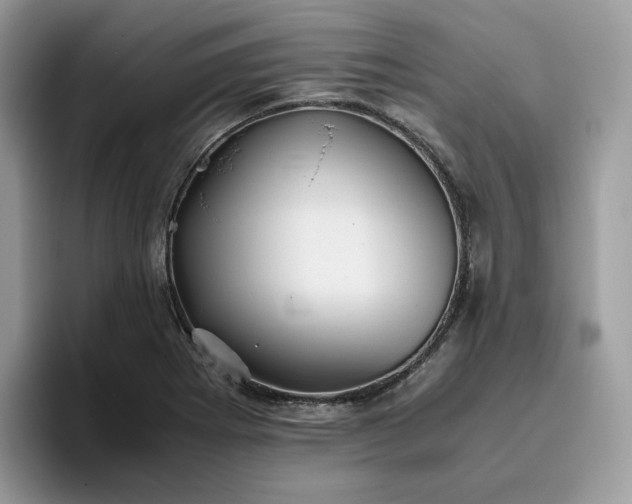 X0000095941273200801251103