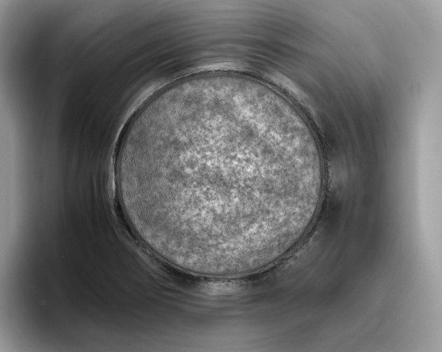 X0000095941274200801251103