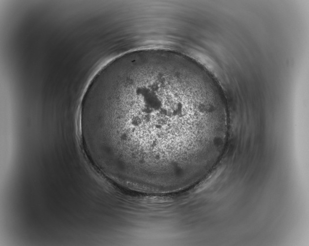 X0000095941275200801251103