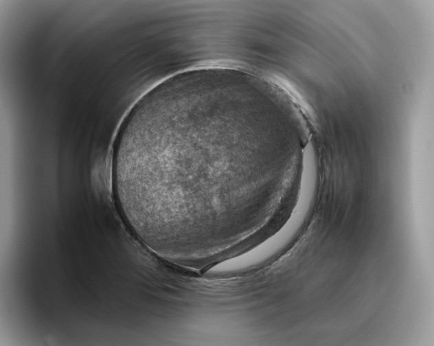 X0000095941276200801251103