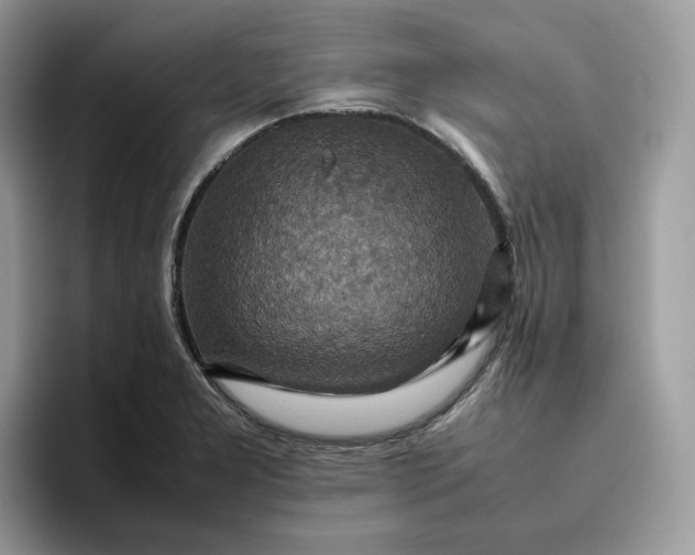 X0000095941277200801251103