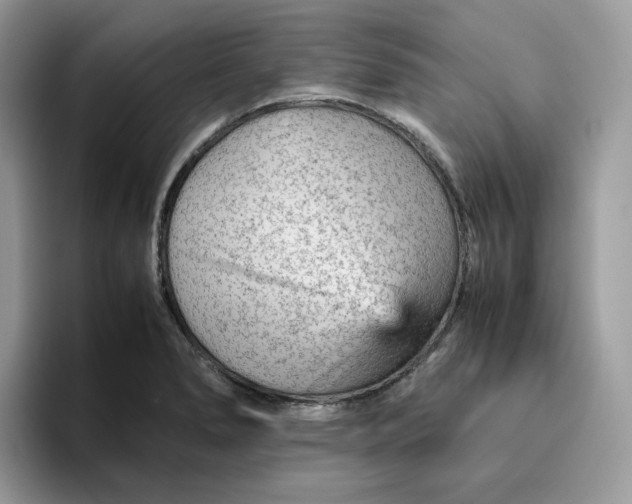 X0000095941278200801251103